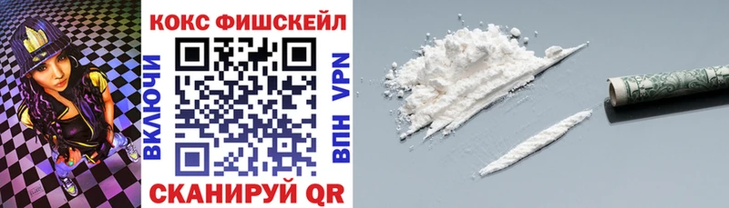 COCAIN Fish Scale  Купить закладки  Гатчина 